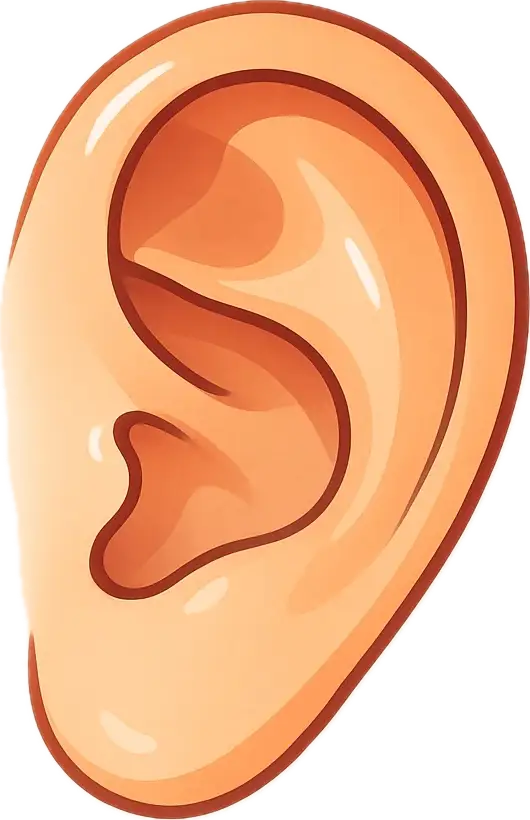 گوش